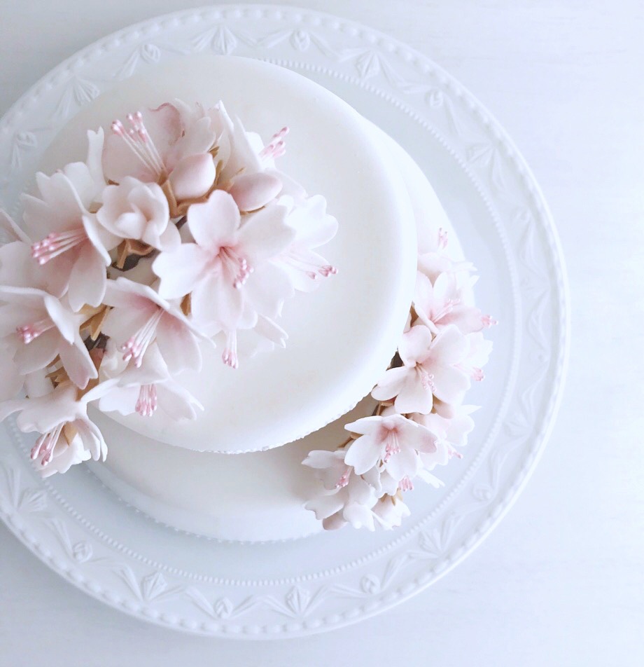 sakura cake on KPM Kurland